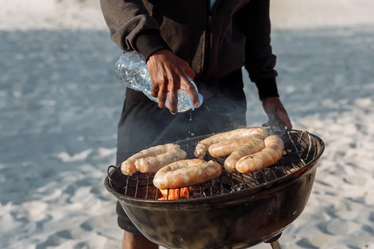 Blackstone Portable Grill Buyer's Guide: Find Your Fit