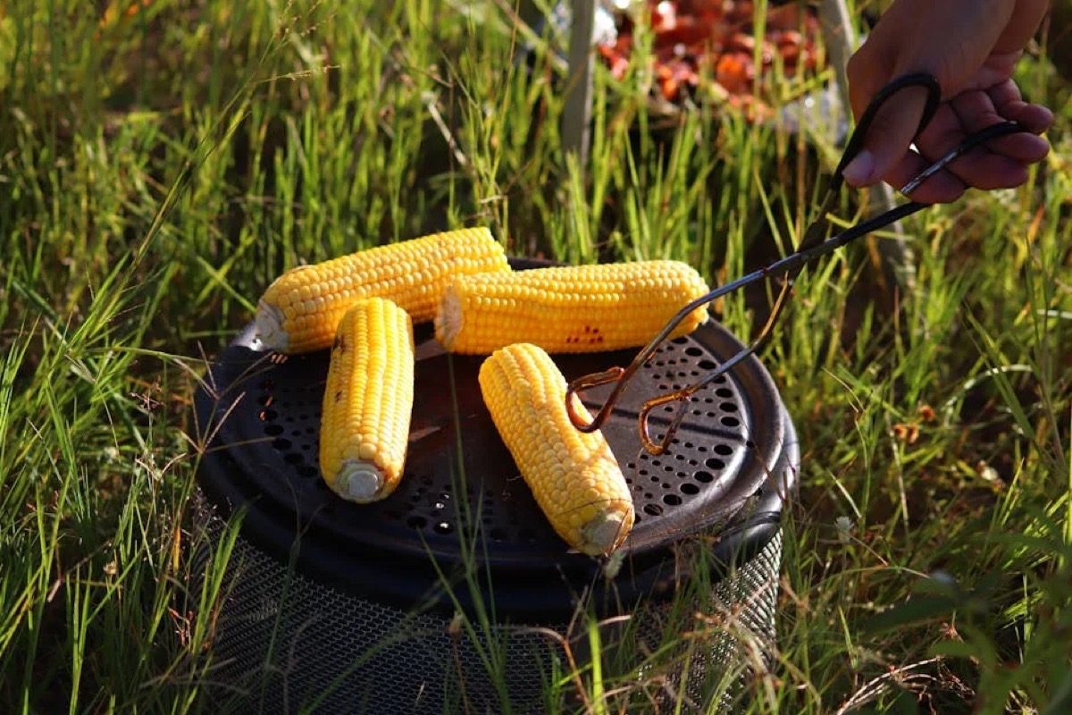 Coleman RoadTrip Grill Buyer's Guide: Models Compared