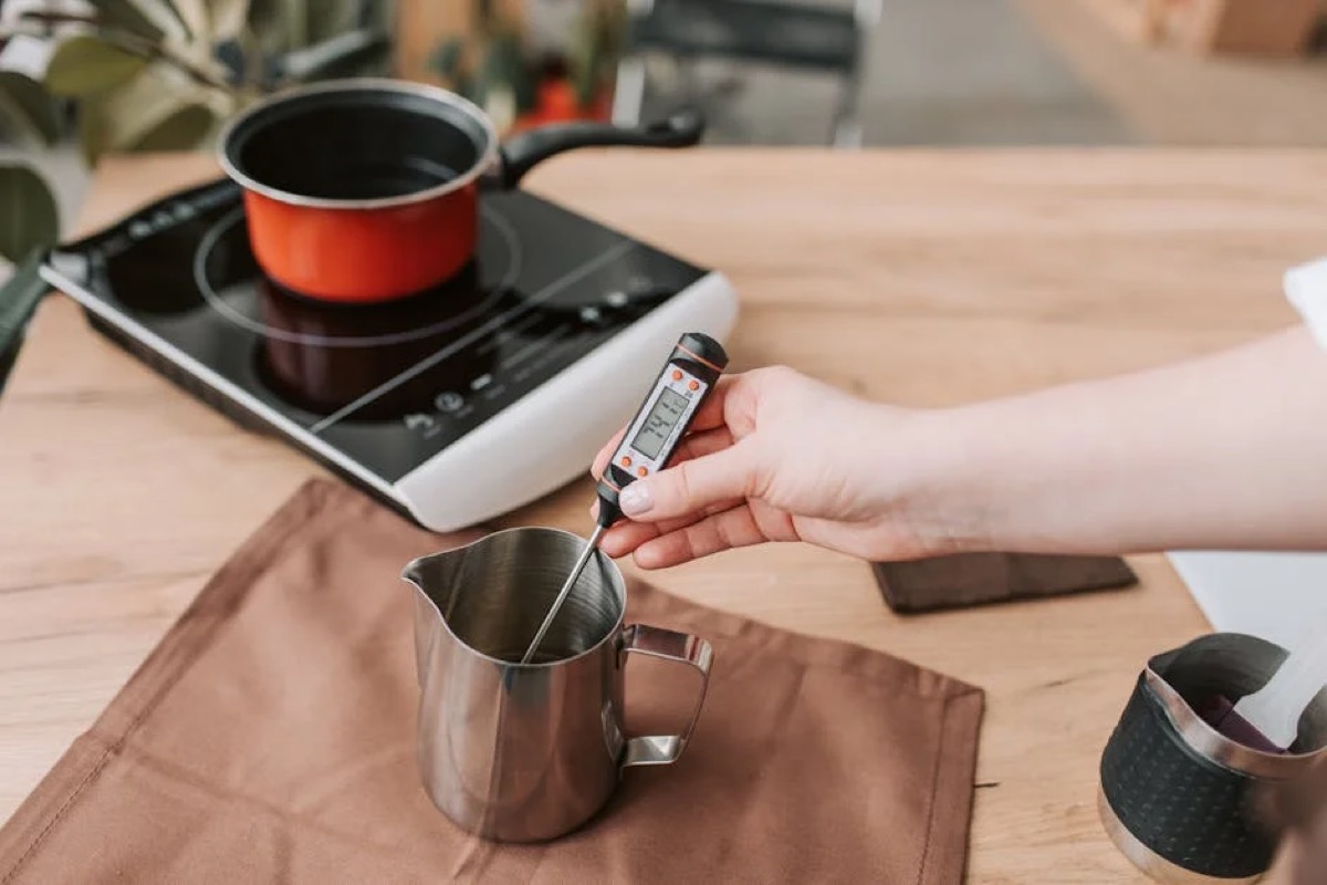 Oven Safe Meat Thermometer Buyer's Guide for Home Cooks