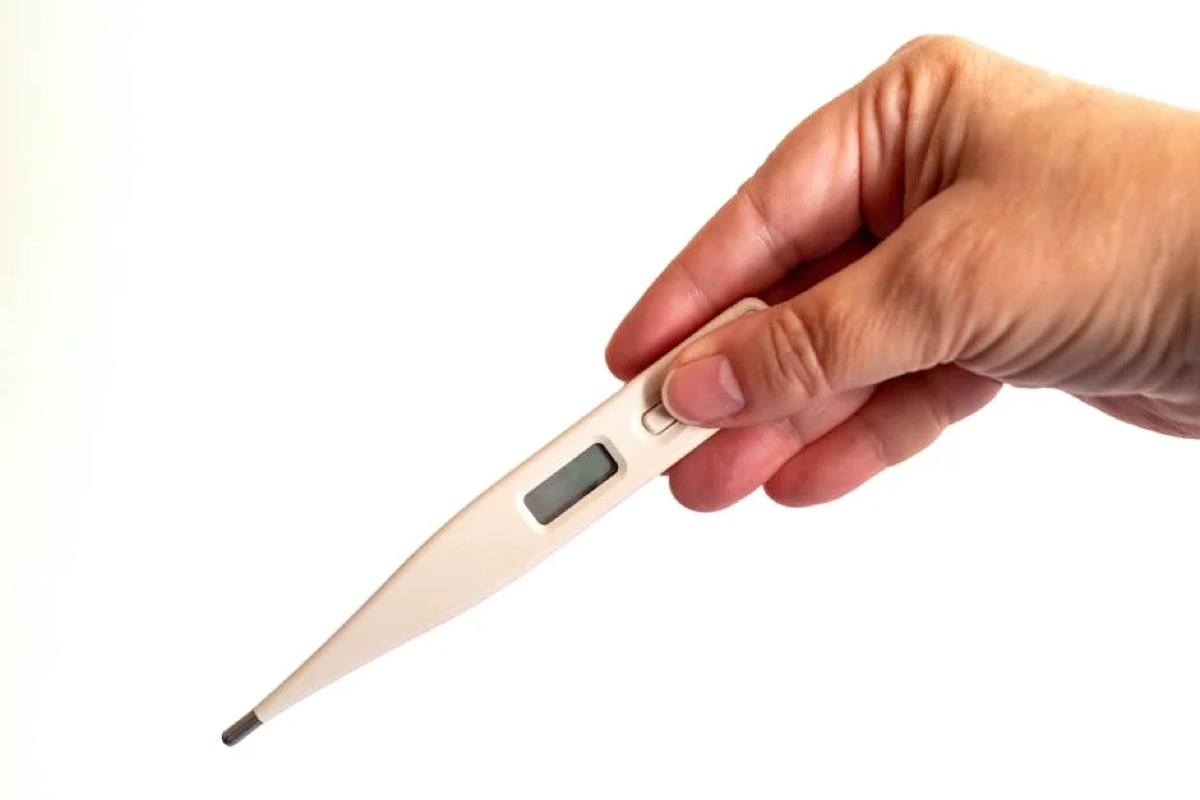 Best Instant Read Meat Thermometer: Tested Top Picks