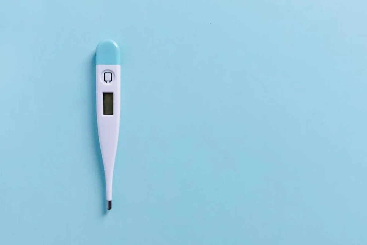 Digital Meat Thermometer Buyer's Guide: Top 5 Picks